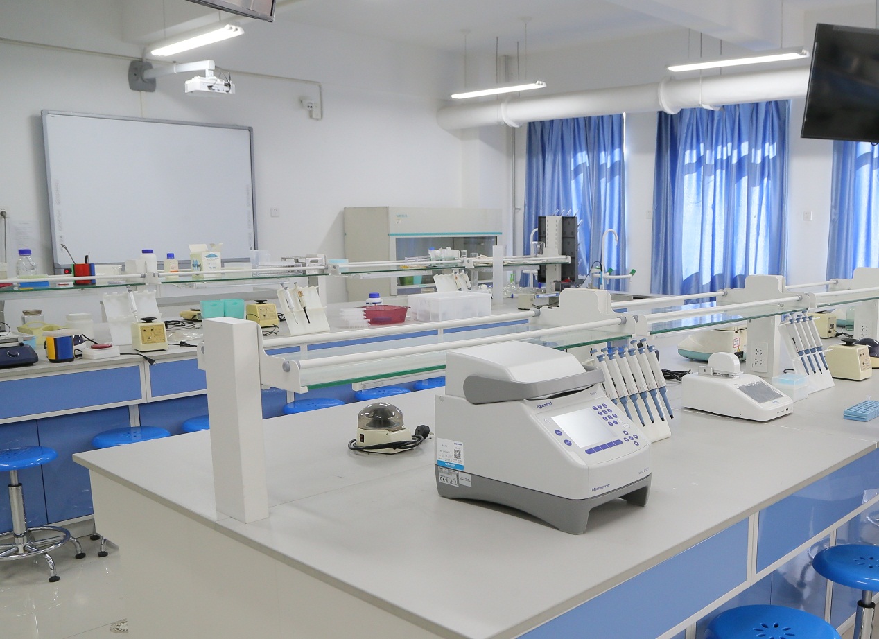 分子生物學(xué)實(shí)驗(yàn)室中的金屬遮篷應(yīng)用