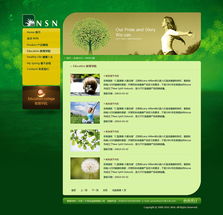 尚丞設(shè)計(jì)案例分享 美國(guó)NSN產(chǎn)品網(wǎng)站建設(shè)與互動(dòng)設(shè)計(jì)